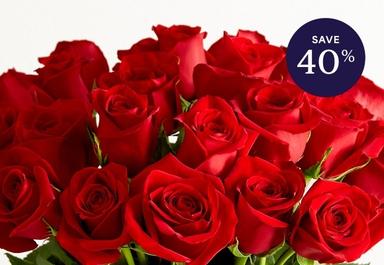 Header navigation sub menu